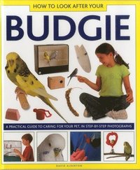 bokomslag How to Look After Your Budgie