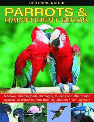 bokomslag Exploring Nature: Parrots & Rainforest Birds