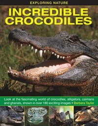 bokomslag Exploring Nature: Incredible Crocodiles