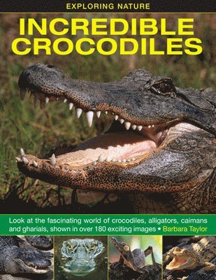 Exploring Nature: Incredible Crocodiles 1
