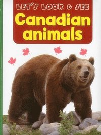 bokomslag Let's Look & See: Canadian Animals