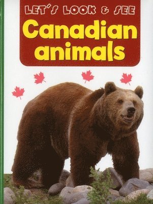 bokomslag Let's Look & See: Canadian Animals