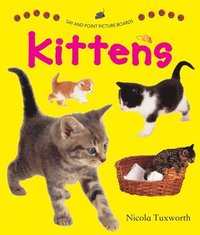 bokomslag Say and Point Picture Boards: Kittens