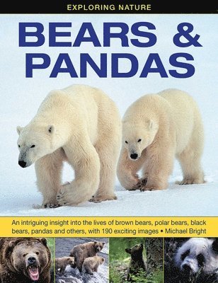 Michael Bright - Exploring Nature: Bears & Pandas, Inbunden