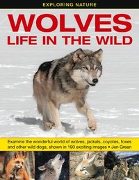 bokomslag Exploring Nature: Wolves - Life in the Wild