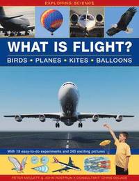 bokomslag Exploring Science: What Is Flight?