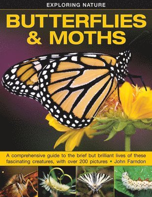 Farndon John, John Farndon - Exploring Nature: Butterflies & Moths, Inbunden