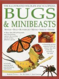 bokomslag Illustrated Wildlife Encyclopedia: Bugs & Minibeasts