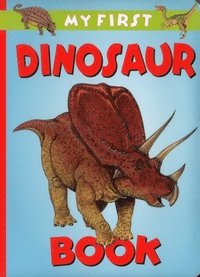 bokomslag My First Dinosaur Book