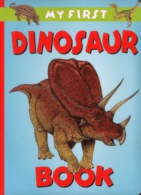 Rosewarne Graeme - My First Dinosaur Book, Kartonnage