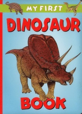 My First Dinosaur Book 1