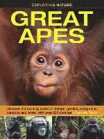 bokomslag Exploring Nature: Great Apes
