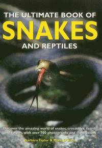 bokomslag Ultimate Book of Snakes and Reptiles