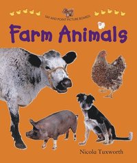 bokomslag Say and Point Picture Boards: Farm Animals