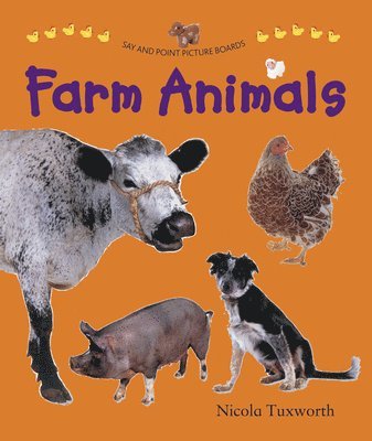 Say and Point Picture Boards: Farm Animals 1