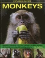 bokomslag Exploring Nature: Monkeys