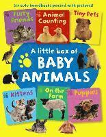 Press Armadillo - Little Box of Baby Animals, Kartonnage
