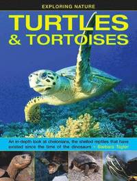 bokomslag Exploring Nature: Turtles & Tortoises