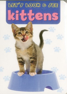 Let's Look & See: Kittens 1