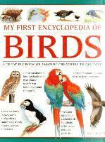 bokomslag My First Encylopedia of Birds (giant Size)