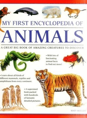 bokomslag My First Encyclopedia of Animals (giant Size)