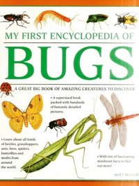 bokomslag My First Encyclopedia of Bugs (giant Size)