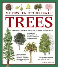 bokomslag My First Encyclopedia of Trees (giant Size)