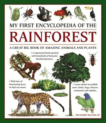 My First Encyclopedia of the Rainforest 1