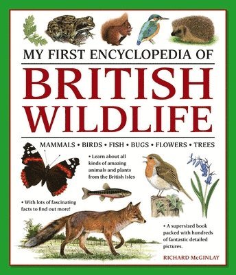 Richard McGinlay - My First Encyclopedia of British Wildlife, Häftad