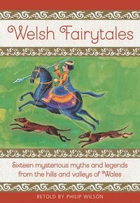 bokomslag Welsh Fairytales