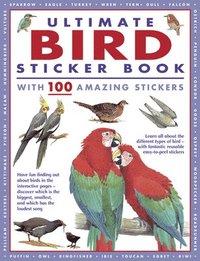 bokomslag Ultimate Bird Sticker Book