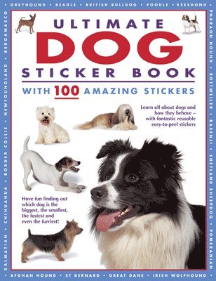 Ultimate Dog Sticker Book 1