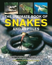 bokomslag Snakes and Reptiles, Ultimate Book of