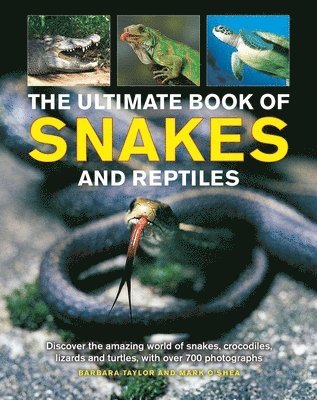 bokomslag Snakes and Reptiles, Ultimate Book of