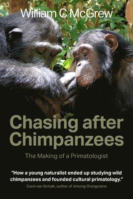 bokomslag Chasing after Chimpanzees
