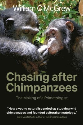 William C McGrew, William C. McGrew - Chasing after Chimpanzees, Häftad