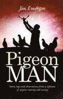 Pigeon Man 1