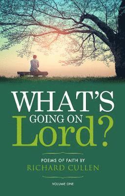 Richard Cullen - What's Going on Lord?, Häftad