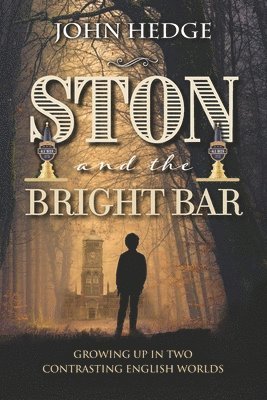 bokomslag Ston and the Bright Bar