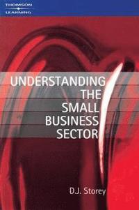 bokomslag Understanding the Small Business Sector