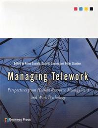 bokomslag Managing Telework