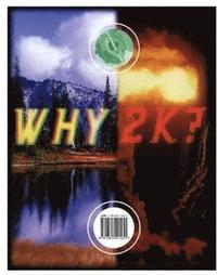 bokomslag Why 2k?: Anthology for a New Era