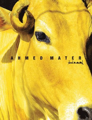Venetia Porter, Tim Mackintosh Smith, Stephen Stapleton, Ahmed Mater - Ahmed Mater, Inbunden