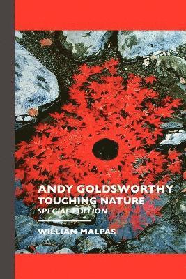 bokomslag Andy Goldsworthy