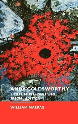 bokomslag Andy Goldsworthy