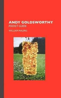 bokomslag Andy Goldsworthy