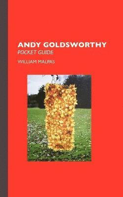Andy Goldsworthy 1