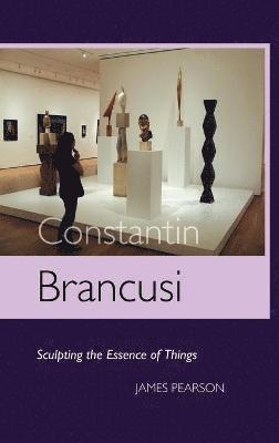 bokomslag Constantin Brancusi