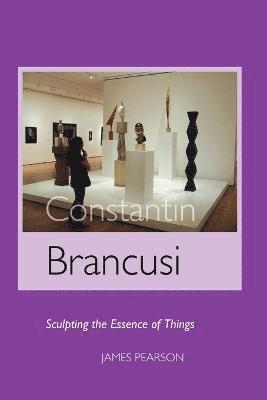 bokomslag Constantin Brancusi