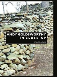 bokomslag Andy Goldsworthy in Close-up